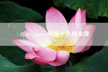 磐石中国十九枚金牌