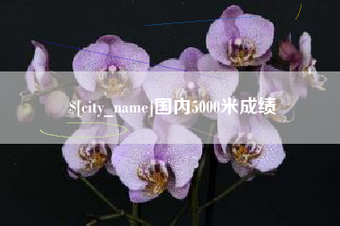 磐石国内5000米成绩