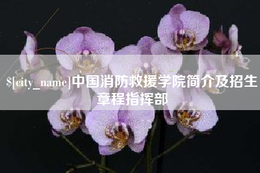 磐石中国消防救援学院简介及招生章程指挥部