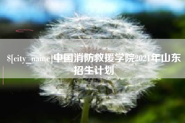 磐石中国消防救援学院2021年山东招生计划