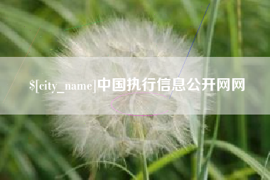 磐石中国执行信息公开网网
