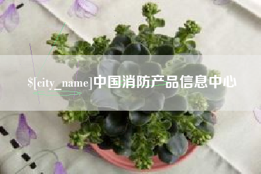 磐石中国消防产品信息中心