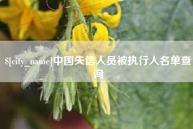 磐石中国失信人员被执行人名单查询
