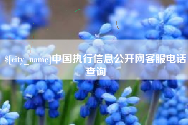 磐石中国执行信息公开网客服电话查询