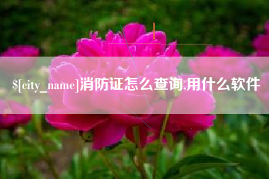 磐石消防证怎么查询,用什么软件