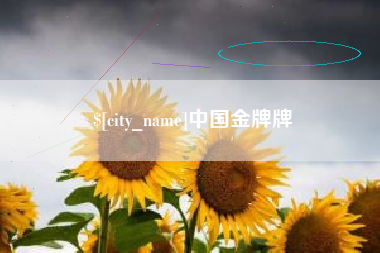 磐石中国金牌牌