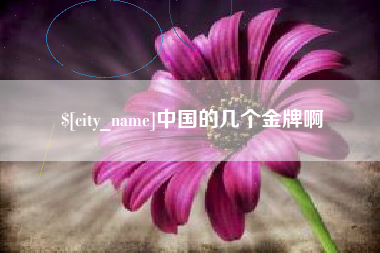 磐石中国的几个金牌啊