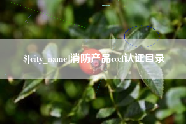 磐石消防产品cccf认证目录
