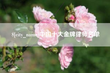 磐石中国十大金牌律师名单