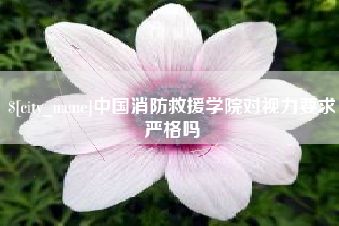 磐石中国消防救援学院对视力要求严格吗