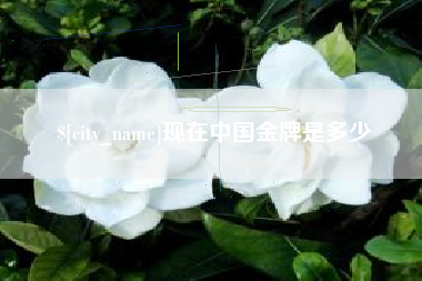 磐石现在中国金牌是多少