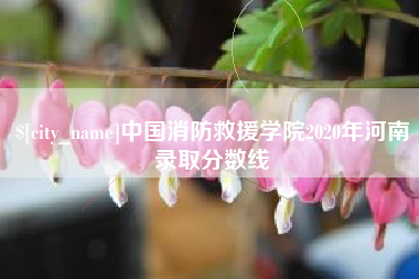 磐石中国消防救援学院2020年河南录取分数线