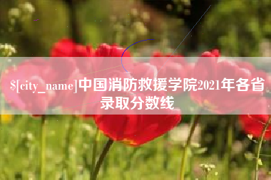 磐石中国消防救援学院2021年各省录取分数线