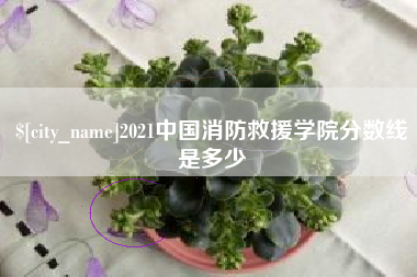 磐石2021中国消防救援学院分数线是多少