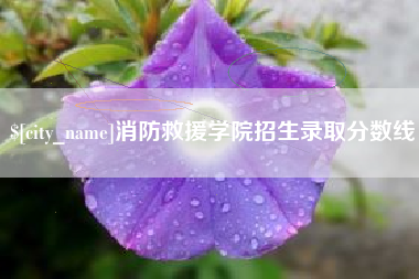 磐石消防救援学院招生录取分数线