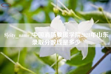 磐石中国消防救援学院2021年山东录取分数线是多少
