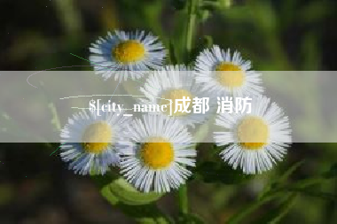 磐石成都 消防