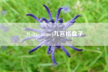 磐石九宫格盘子