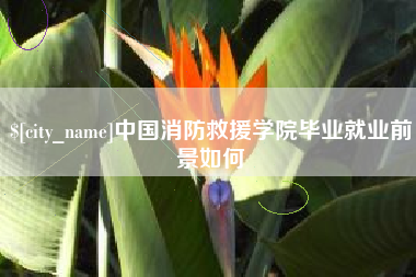 磐石中国消防救援学院毕业就业前景如何