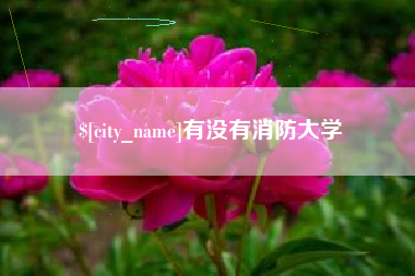 磐石有没有消防大学
