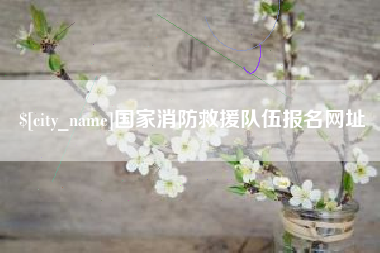 磐石国家消防救援队伍报名网址
