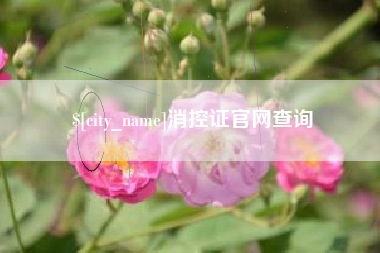 磐石消控证官网查询