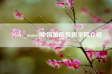 磐石中国消防救援学院介绍