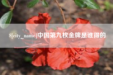 磐石中国第九枚金牌是谁得的