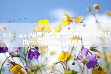 磐石中国执行信息公开网查不到被执行人是不是已解除限高