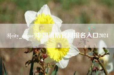 磐石中国消防官网报名入口2024