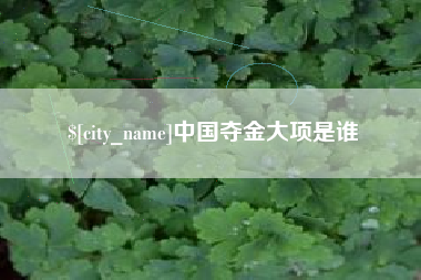 磐石中国夺金大项是谁