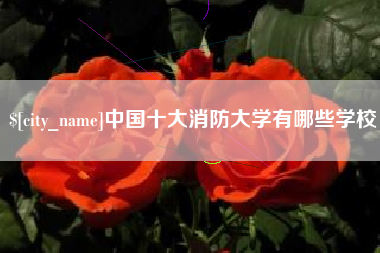 磐石中国十大消防大学有哪些学校