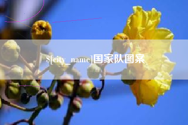 磐石国家队图案