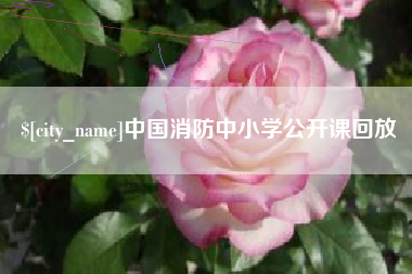 磐石中国消防中小学公开课回放