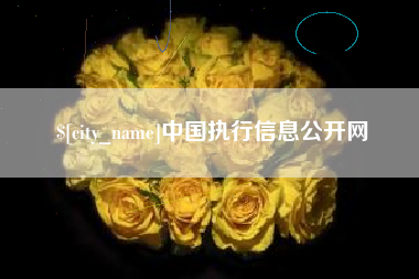 磐石中国执行信息公开网