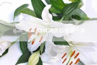 磐石森林消防日是哪一天