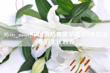 磐石中国消防救援学院2020年在山东招生计划表