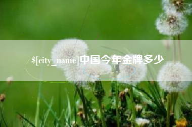 磐石中国今年金牌多少