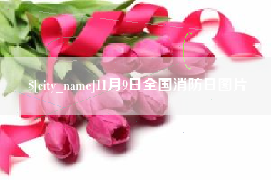 磐石11月9日全国消防日图片