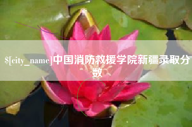 磐石中国消防救援学院新疆录取分数