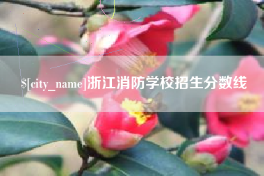 磐石浙江消防学校招生分数线