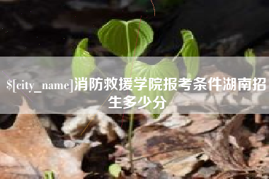 磐石消防救援学院报考条件湖南招生多少分