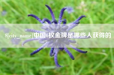 磐石中国6枚金牌是哪些人获得的