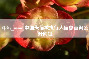 磐石中国失信被执行人信息查询公开网址