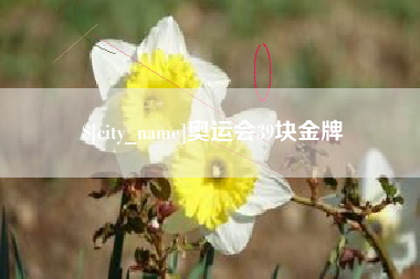 磐石奥运会39块金牌