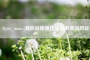 磐石消防设施操作员证书查询网址