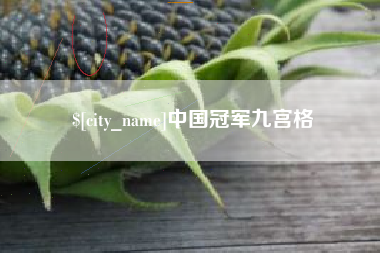 磐石中国冠军九宫格