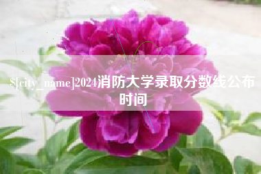 磐石2024消防大学录取分数线公布时间