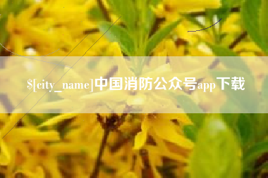 磐石中国消防公众号app下载