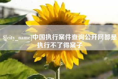 磐石中国执行案件查询公开网都是执行不了得案子